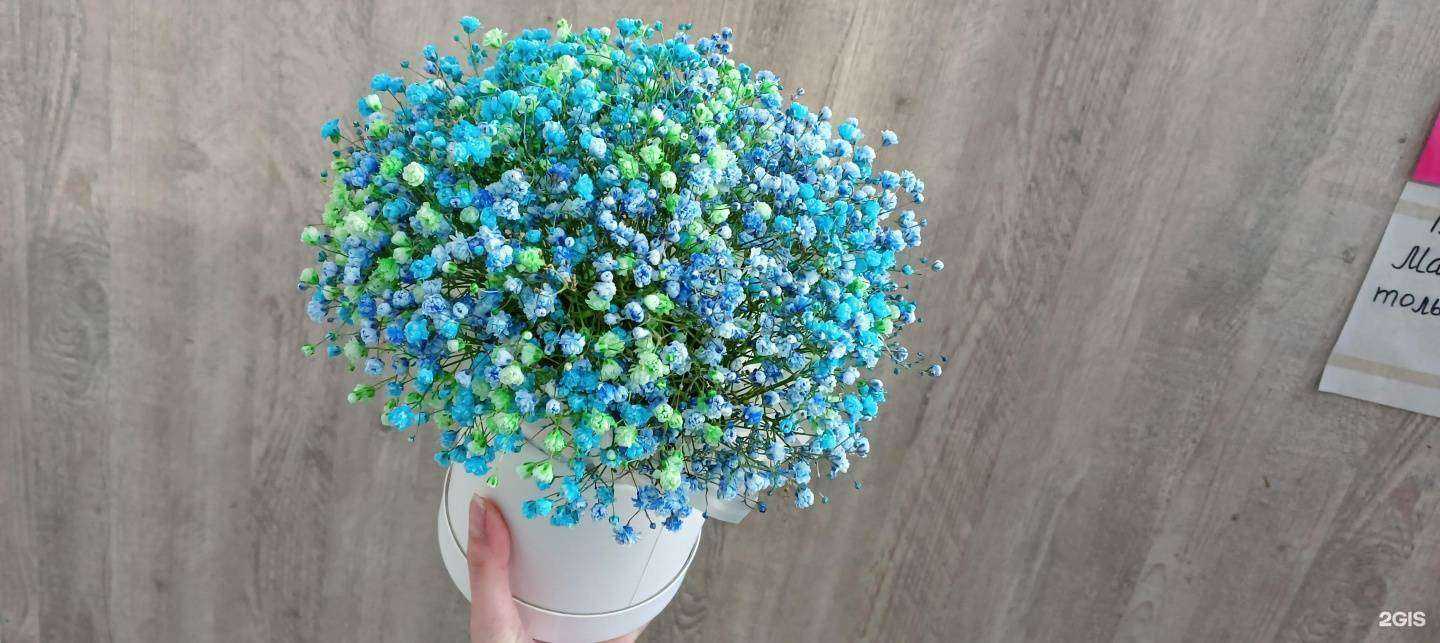 Отзывы на компанию Любимый букет в Саратове c фото