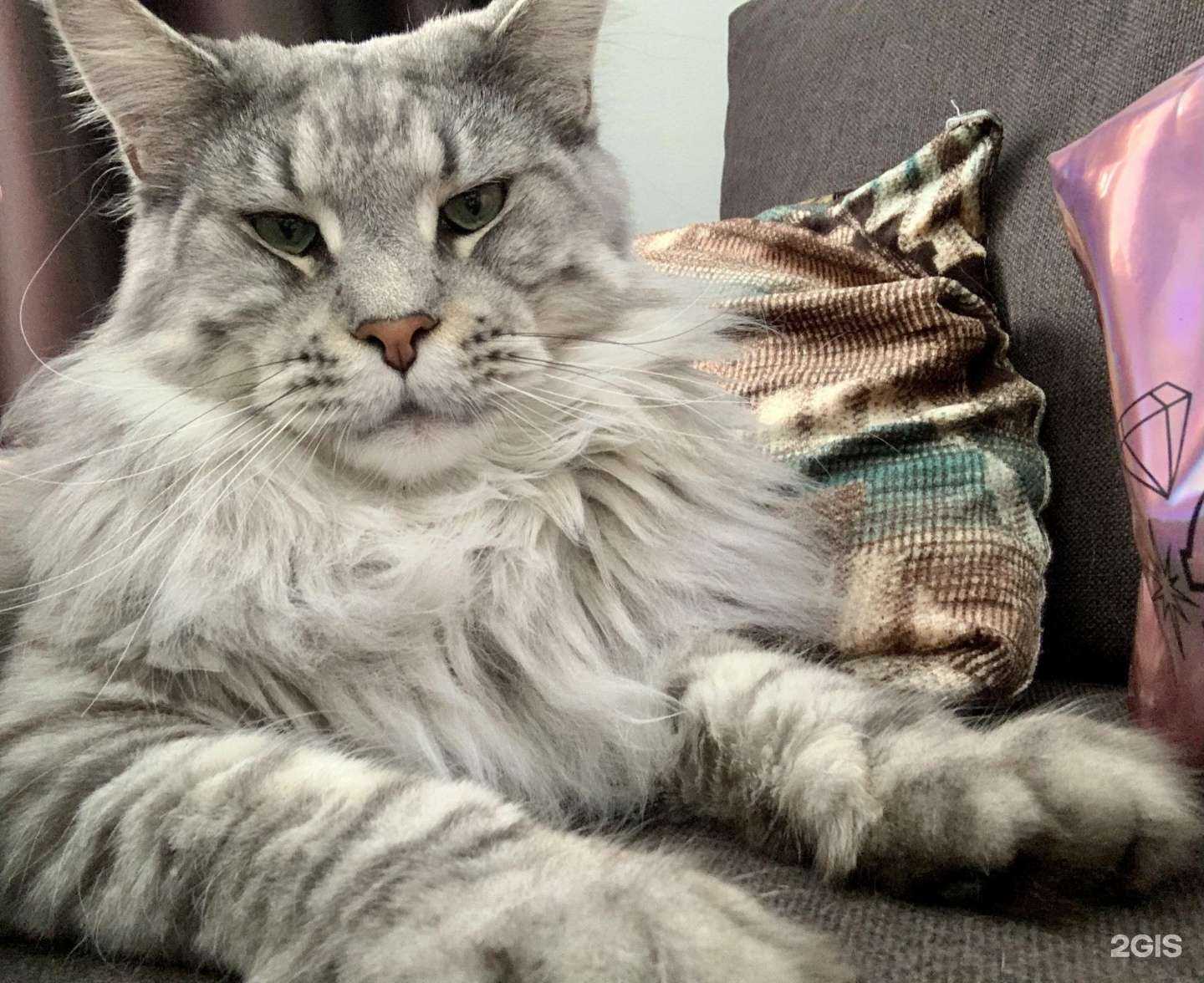 Отзывы на компанию Группа Халкон в г. Хабаровск c фото