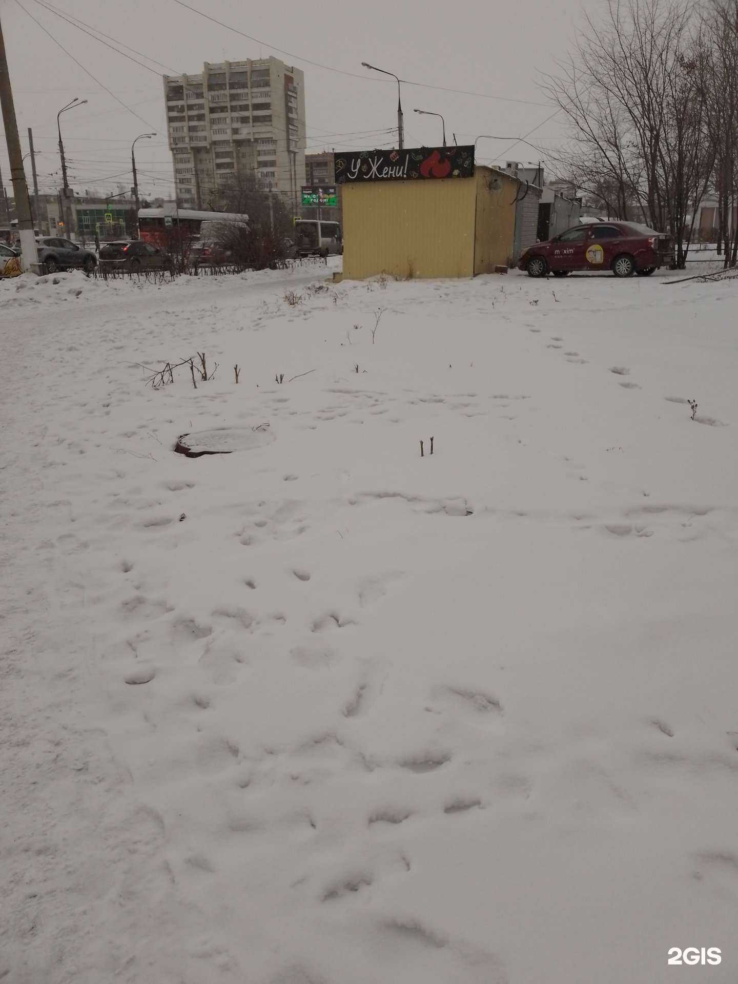 Отзывы на компанию У Жени в Магнитогорске c фото - фотография 2 из 2