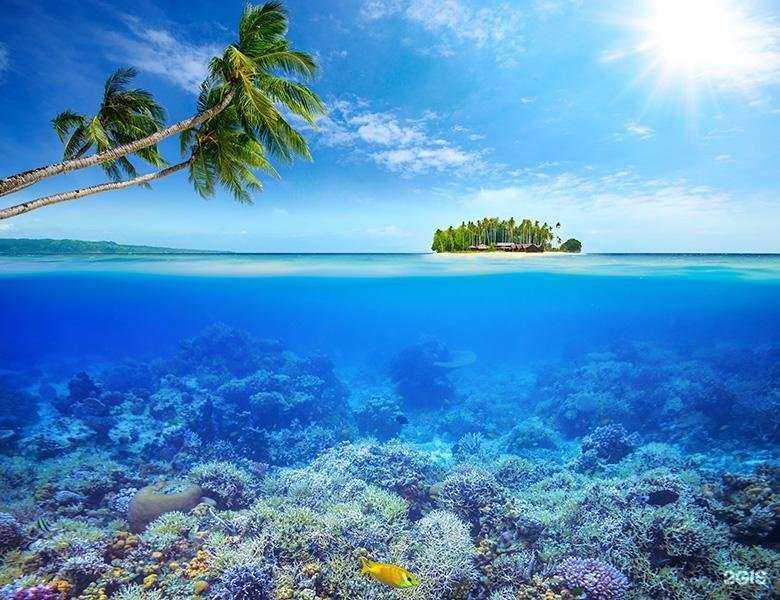 Отзывы на компанию Текнос Деко в Новосибирске c фото