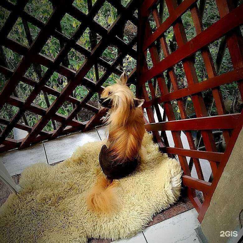 Отзывы на компанию Биовет в Магнитогорске c фото