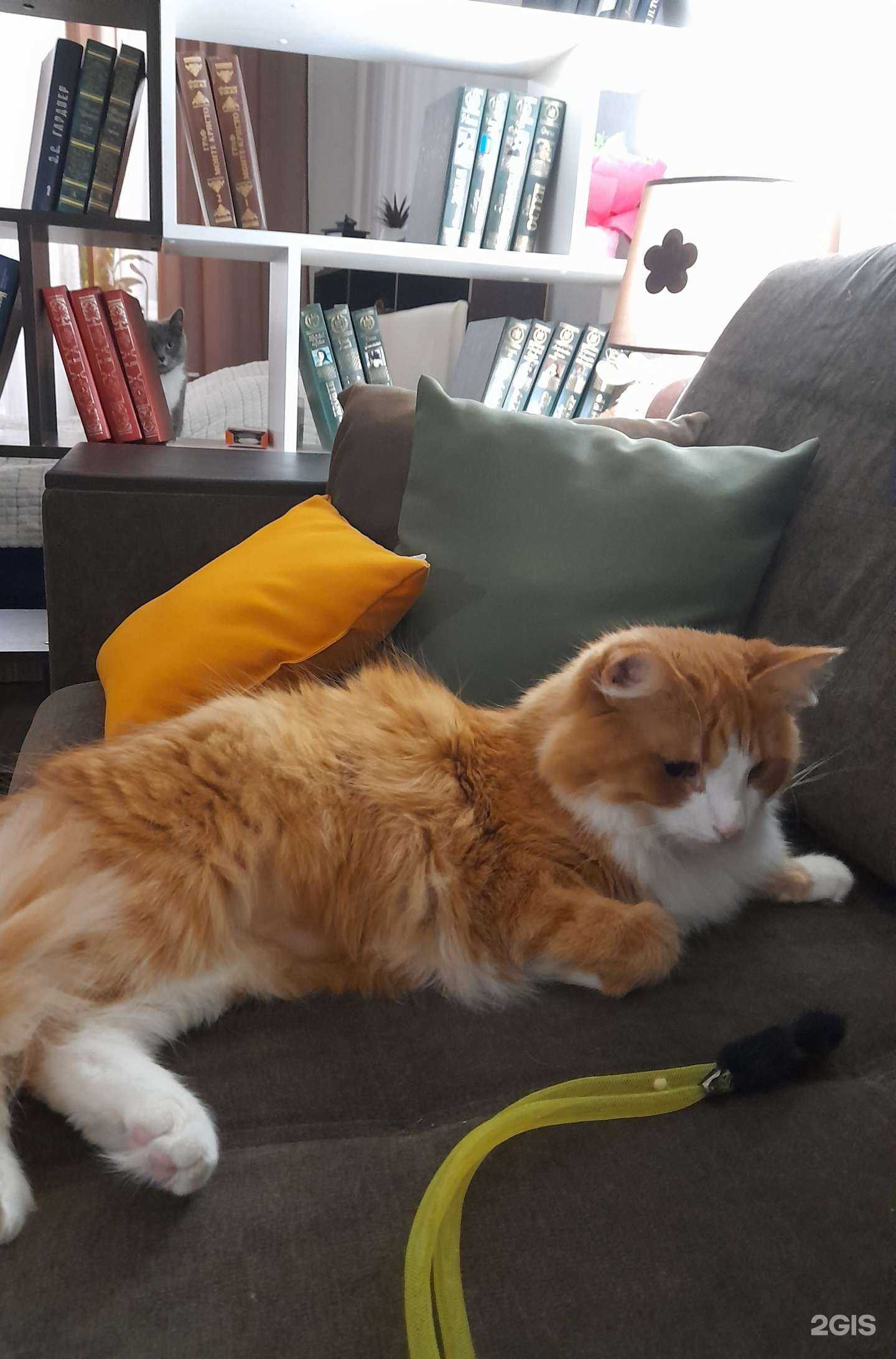 Отзывы на компанию Каскад-М в г. Тверь c фото