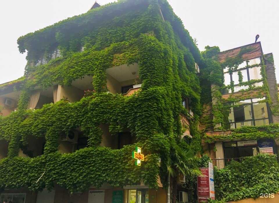 Отзывы на компанию Кабинет подолога в Сочи c фото - фотография 2 из 2