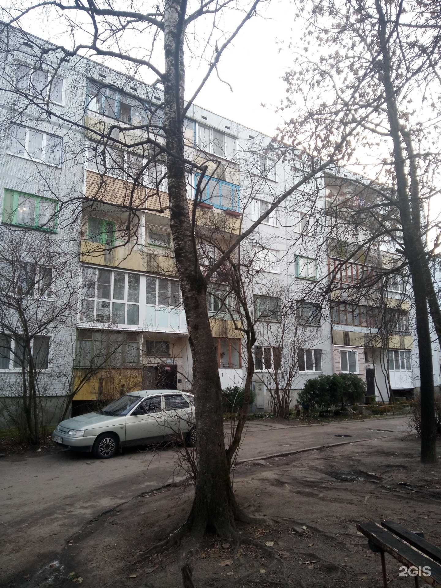 Отзывы на компанию Гелиос в Пскове c фото