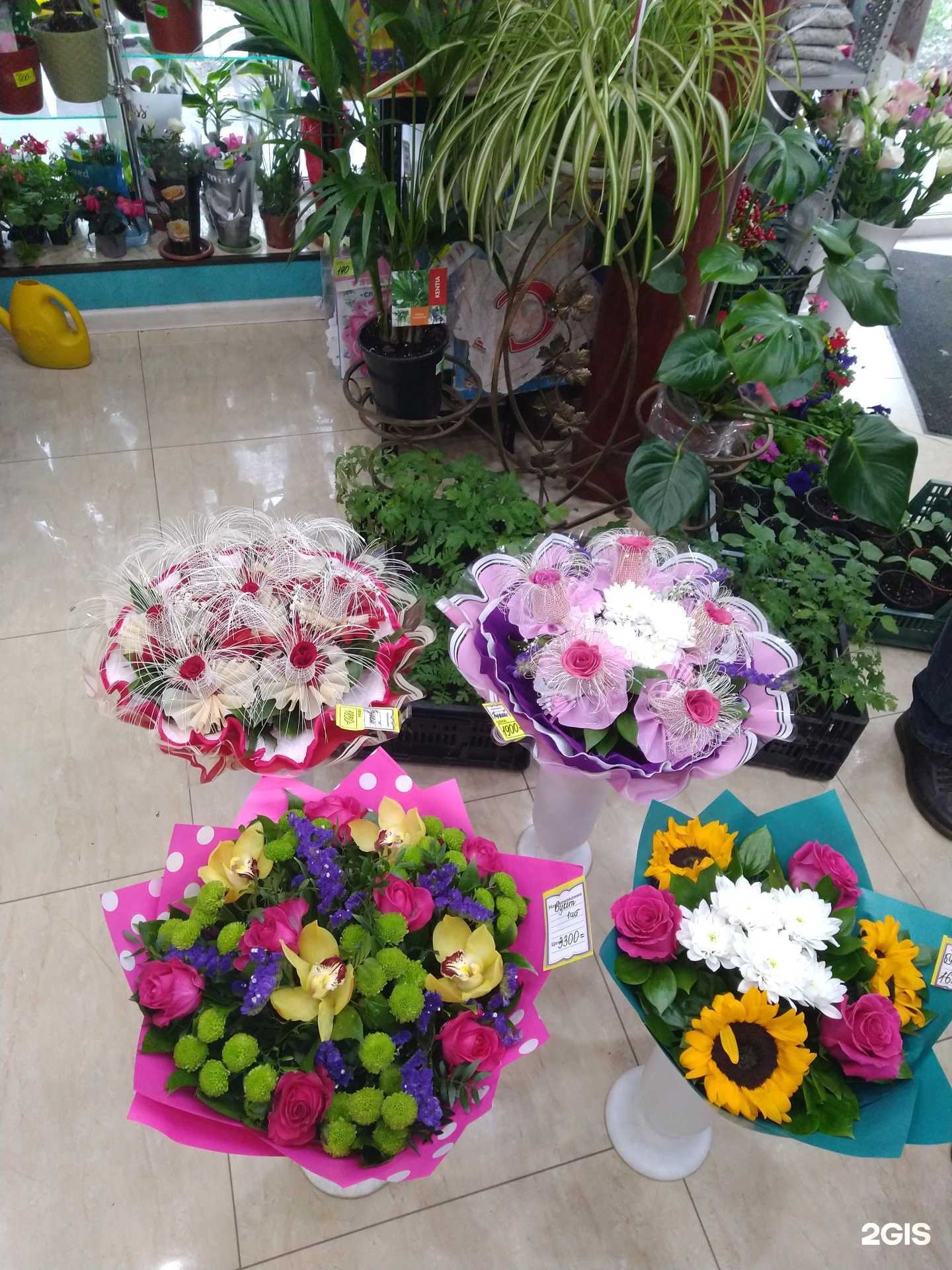 Отзывы на компанию Гатчинская оранжерея в Гатчине c фото