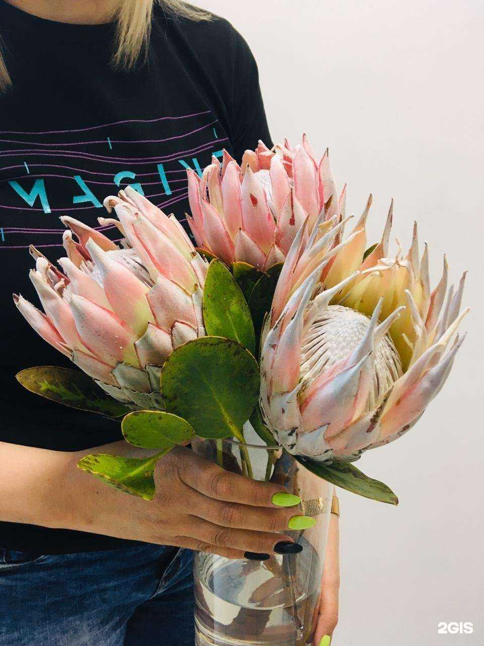 Отзывы на компанию Цветолайт в Барнауле c фото