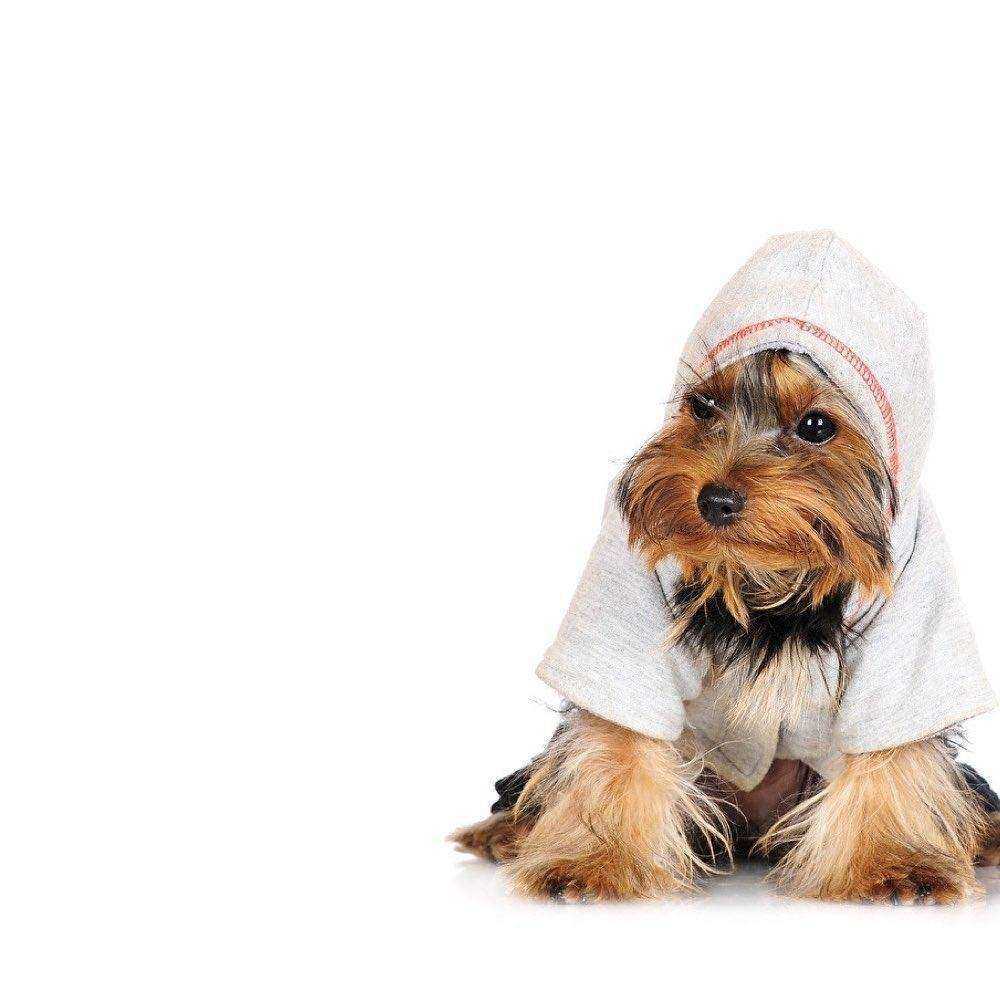 Отзывы на компанию Аквариум в г. Саранск c фото