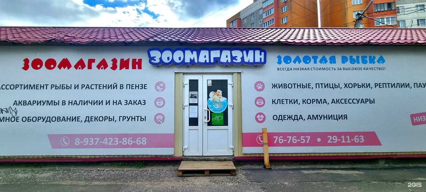 Отзывы на компанию Золотая рыбка в Пензе c фото