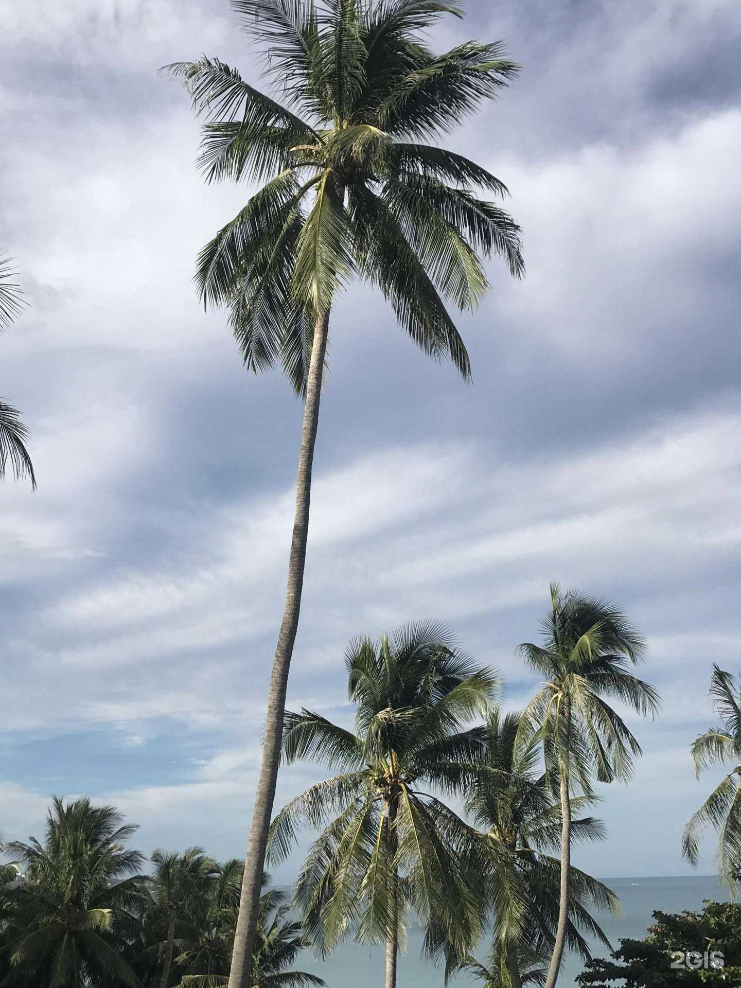 Отзывы на компанию Пегас Туристик в г. Владивосток c фото