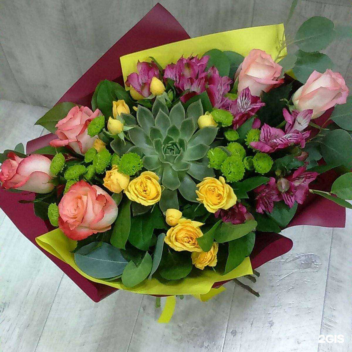 Отзывы на компанию Лагуна в Комсомольске-на-Амуре c фото