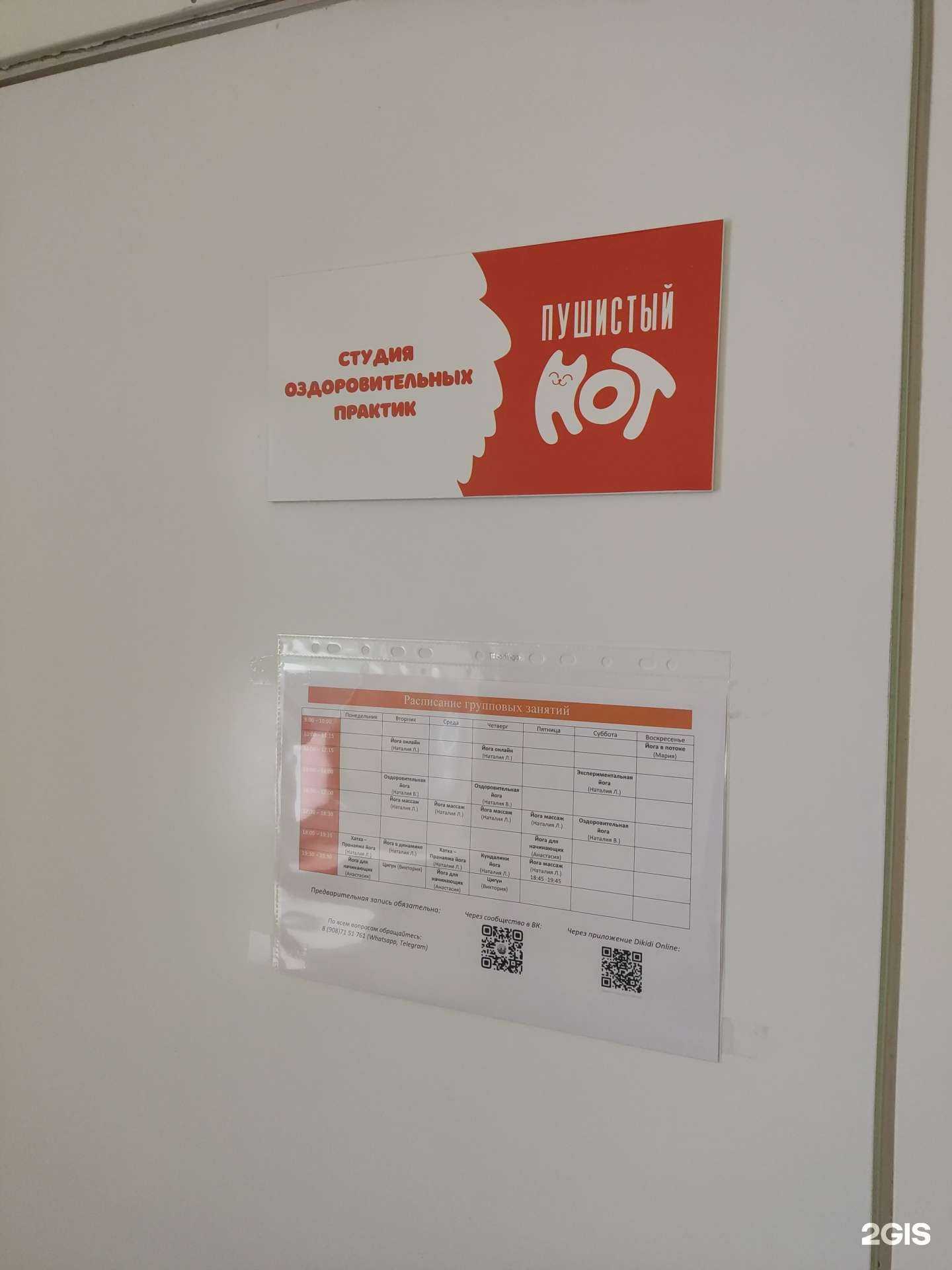 Отзывы на компанию Пушистый кот в Сыктывкаре c фото