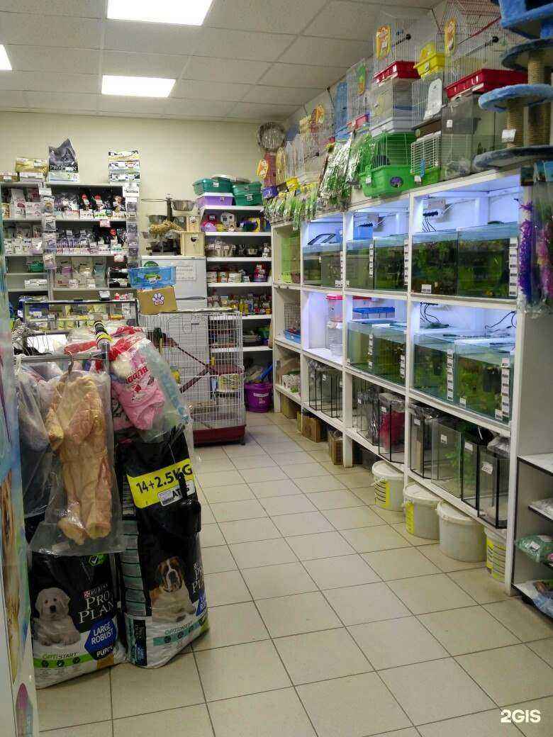 Отзывы на компанию Золотая рыбка в г. Елабуга c фото