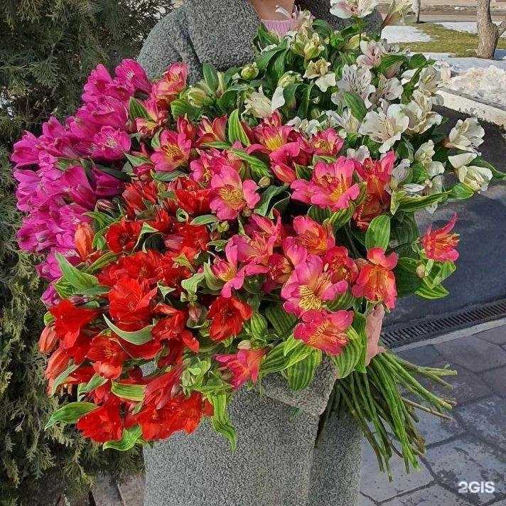 Отзывы на компанию Luludi в г. Пятигорск c фото