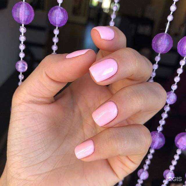 Отзывы на компанию Daisy в Махачкале c фото