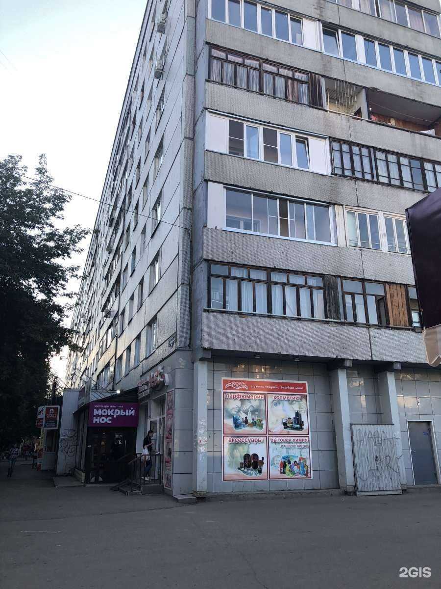 Отзывы на компанию Мокрый нос в Красноярске c фото - фотография 2 из 2