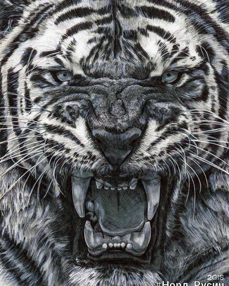 Отзывы на компанию Норд Русич в Мурманске c фото