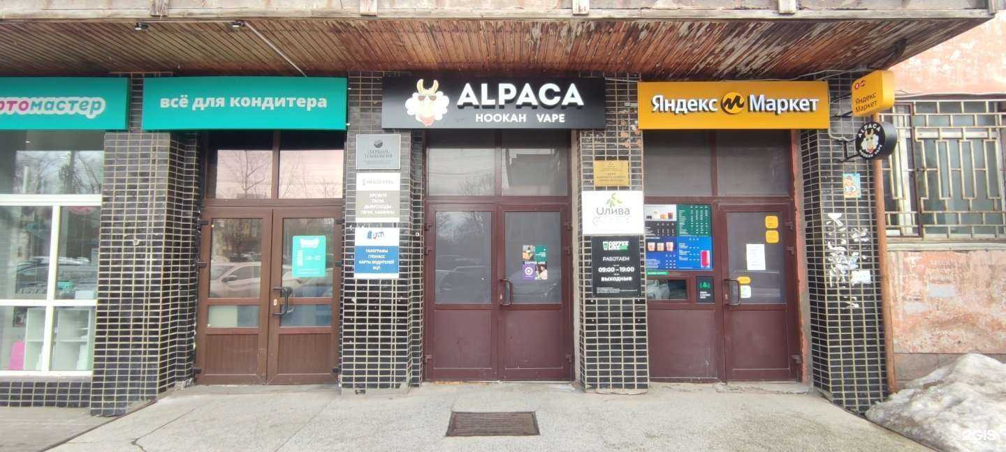 Отзывы на компанию Alpaca в г. Вологда c фото