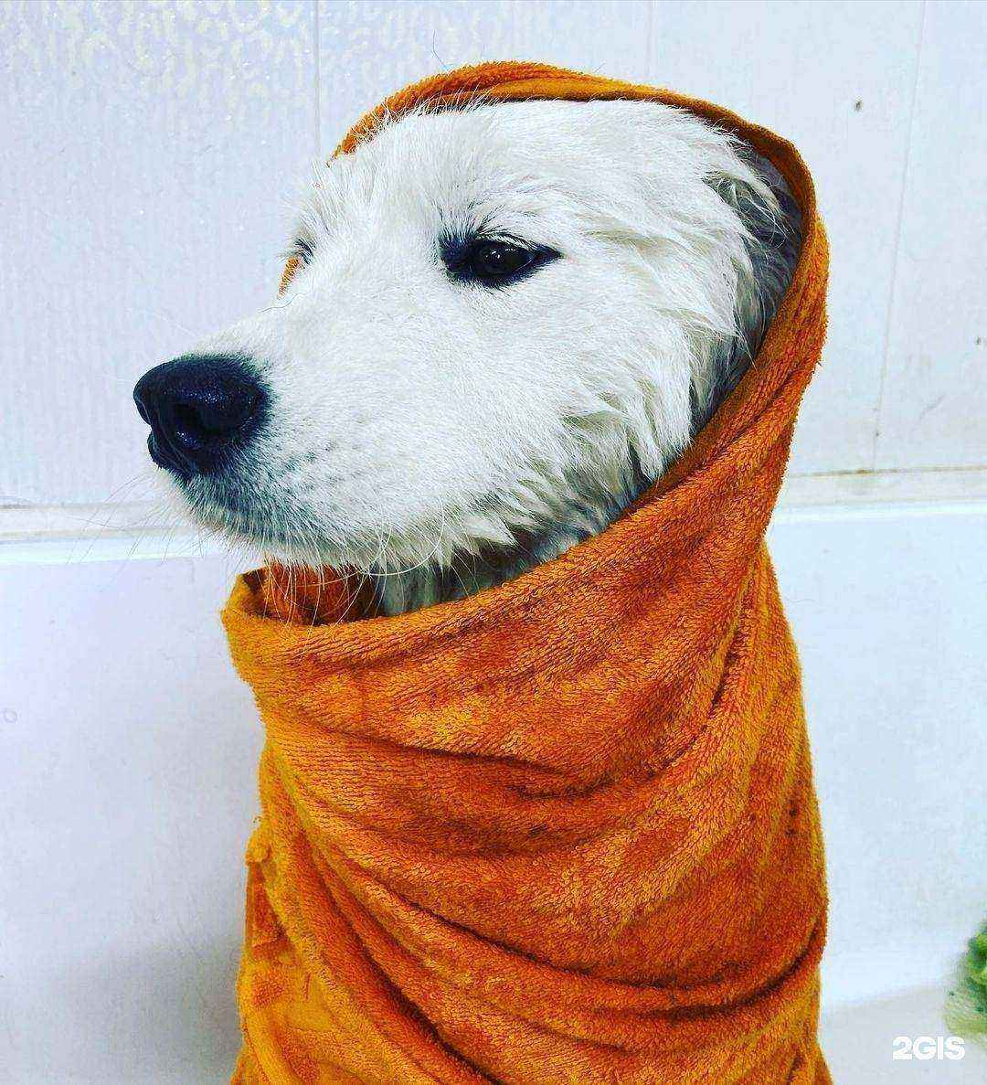 Отзывы на компанию Тайра в Бийске c фото