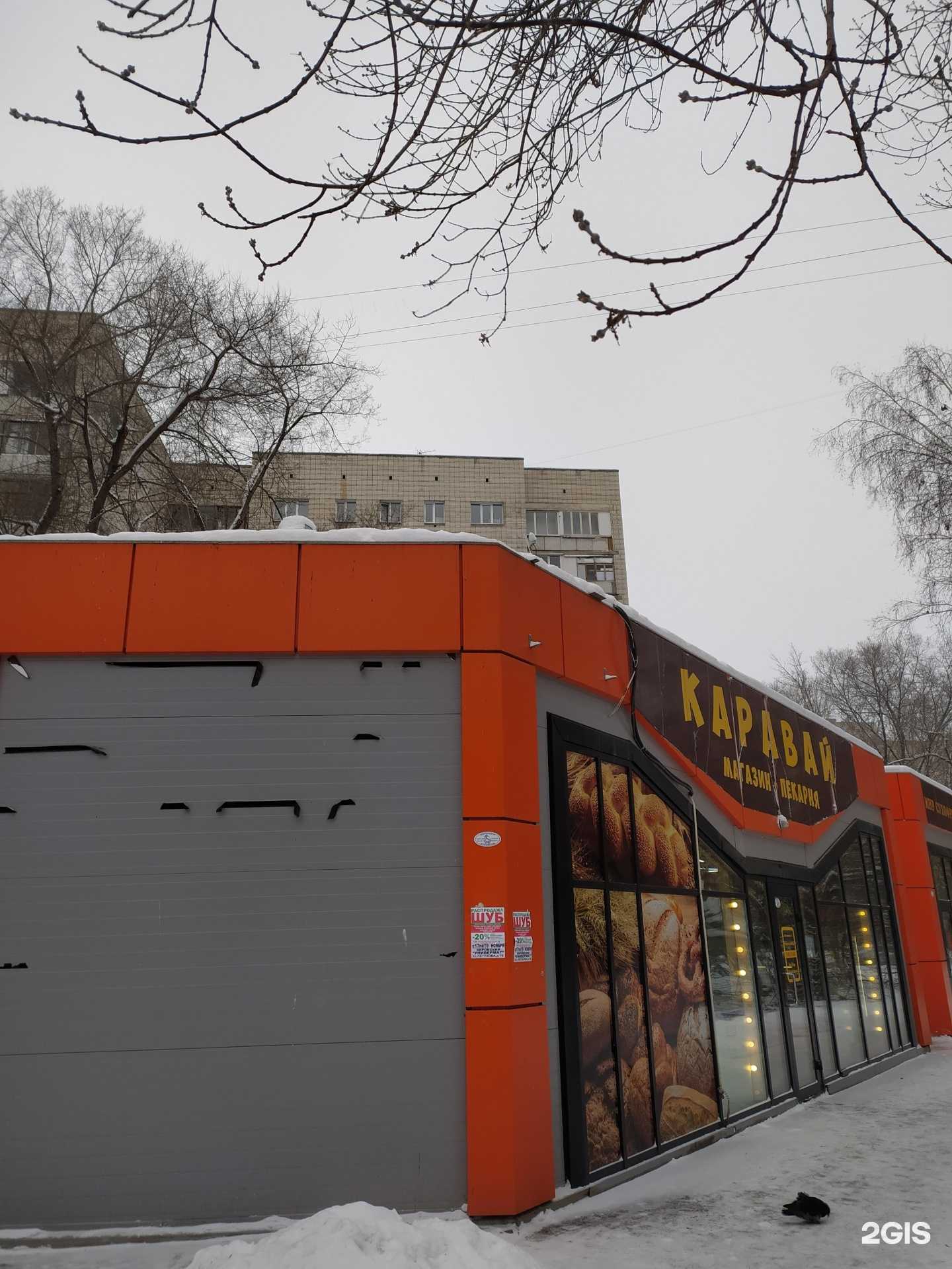 Отзывы на компанию Садовод в Новосибирске c фото