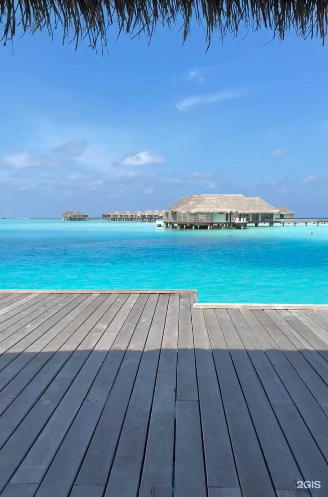 Отзывы на компанию A.more в Томске c фото