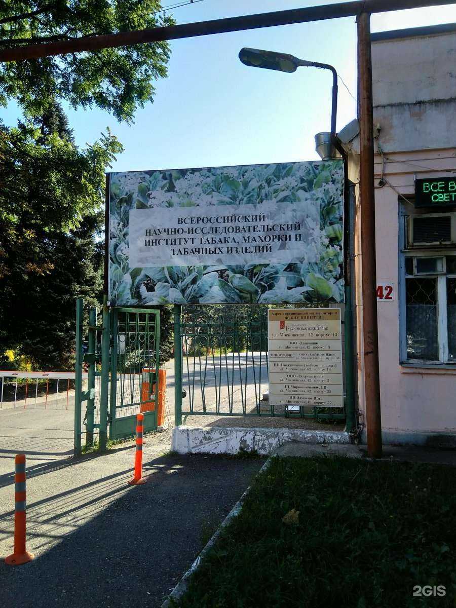 Отзывы на компанию Всероссийский НИИ табака, махорки и табачных изделий в г. Краснодар c фото