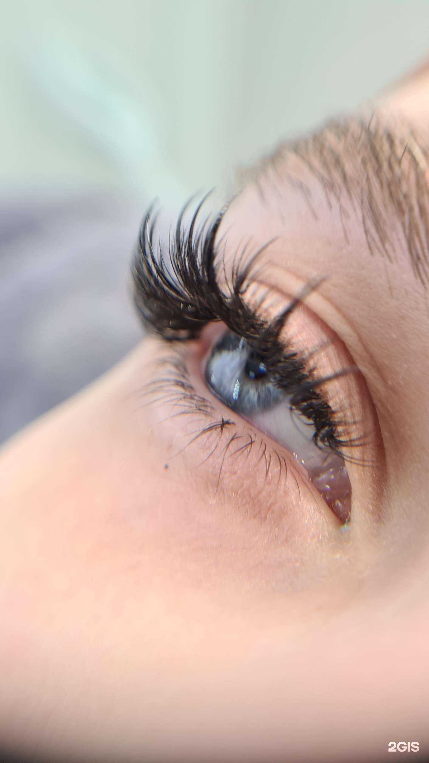 Отзывы на компанию Inn`Lash в Сургуте c фото