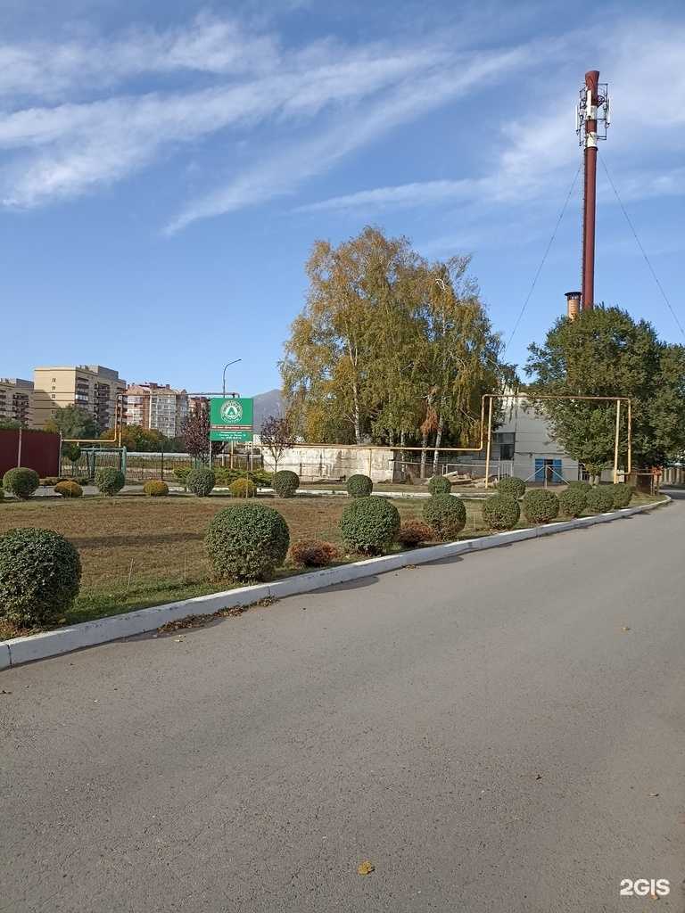 Отзывы на компанию Зеленый мир в г. Пятигорск c фото