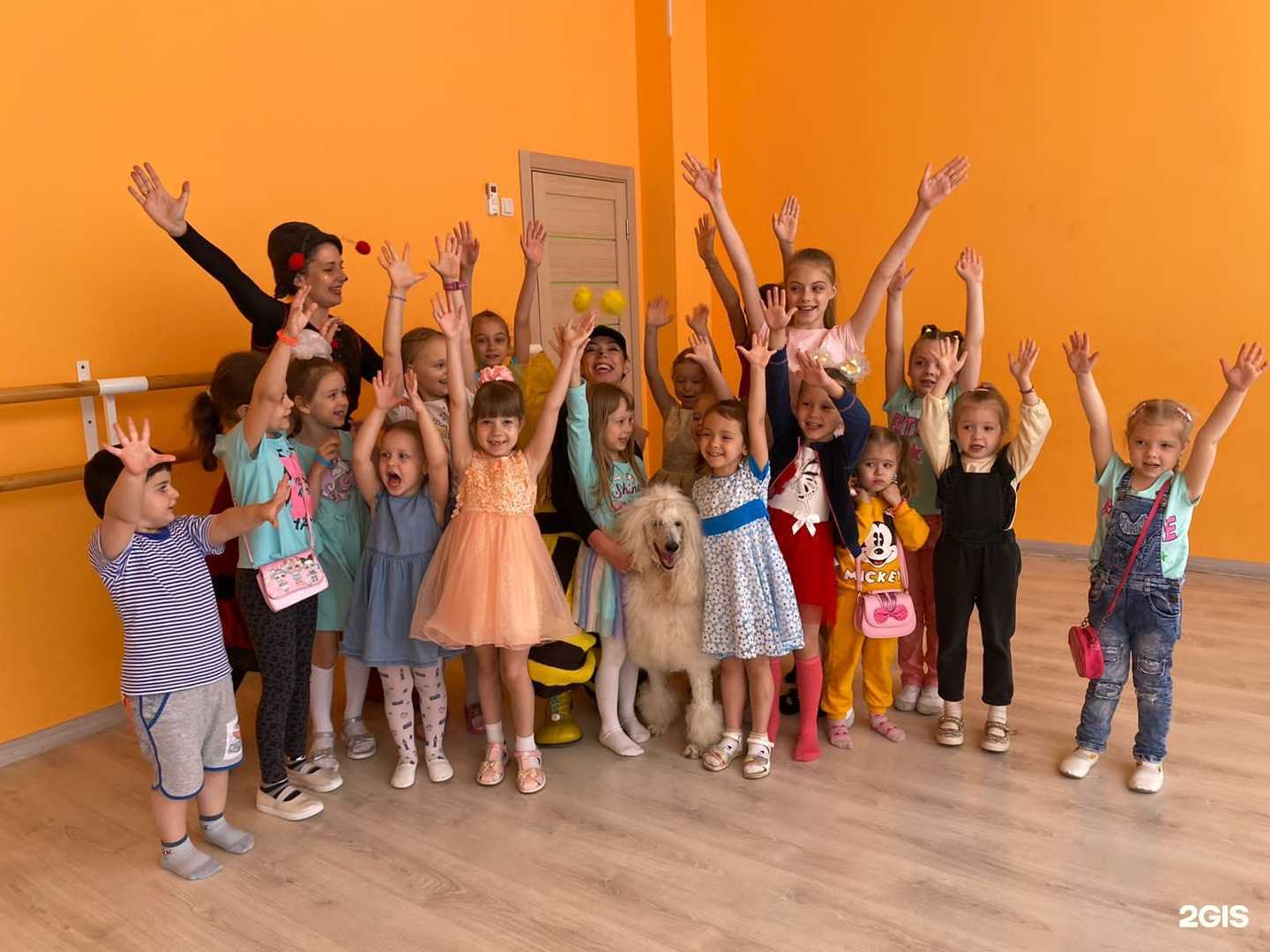 Отзывы на компанию Квантики в г. Краснодар c фото