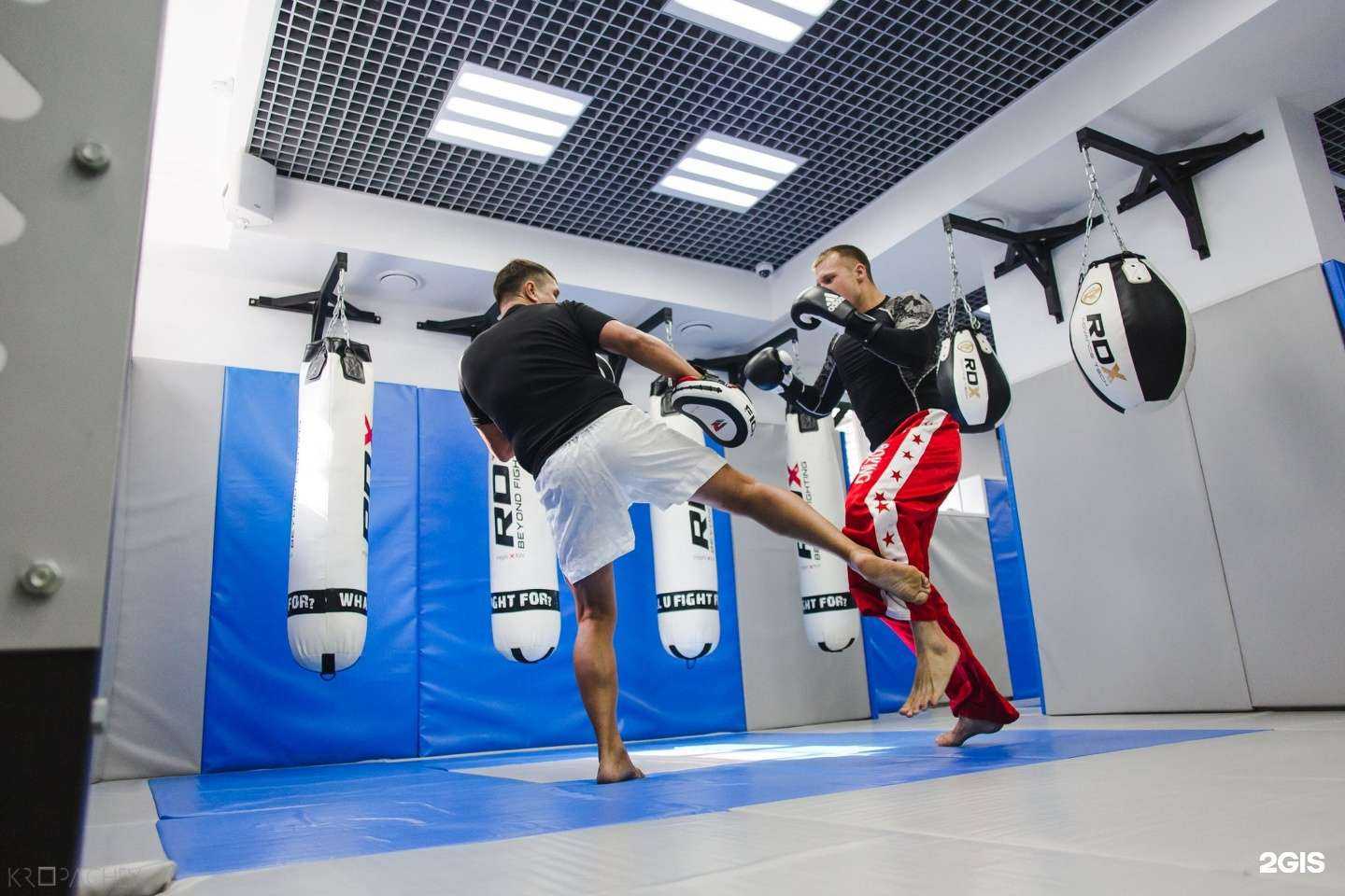 Отзывы на компанию Yakudza gym premium в Уфе c фото