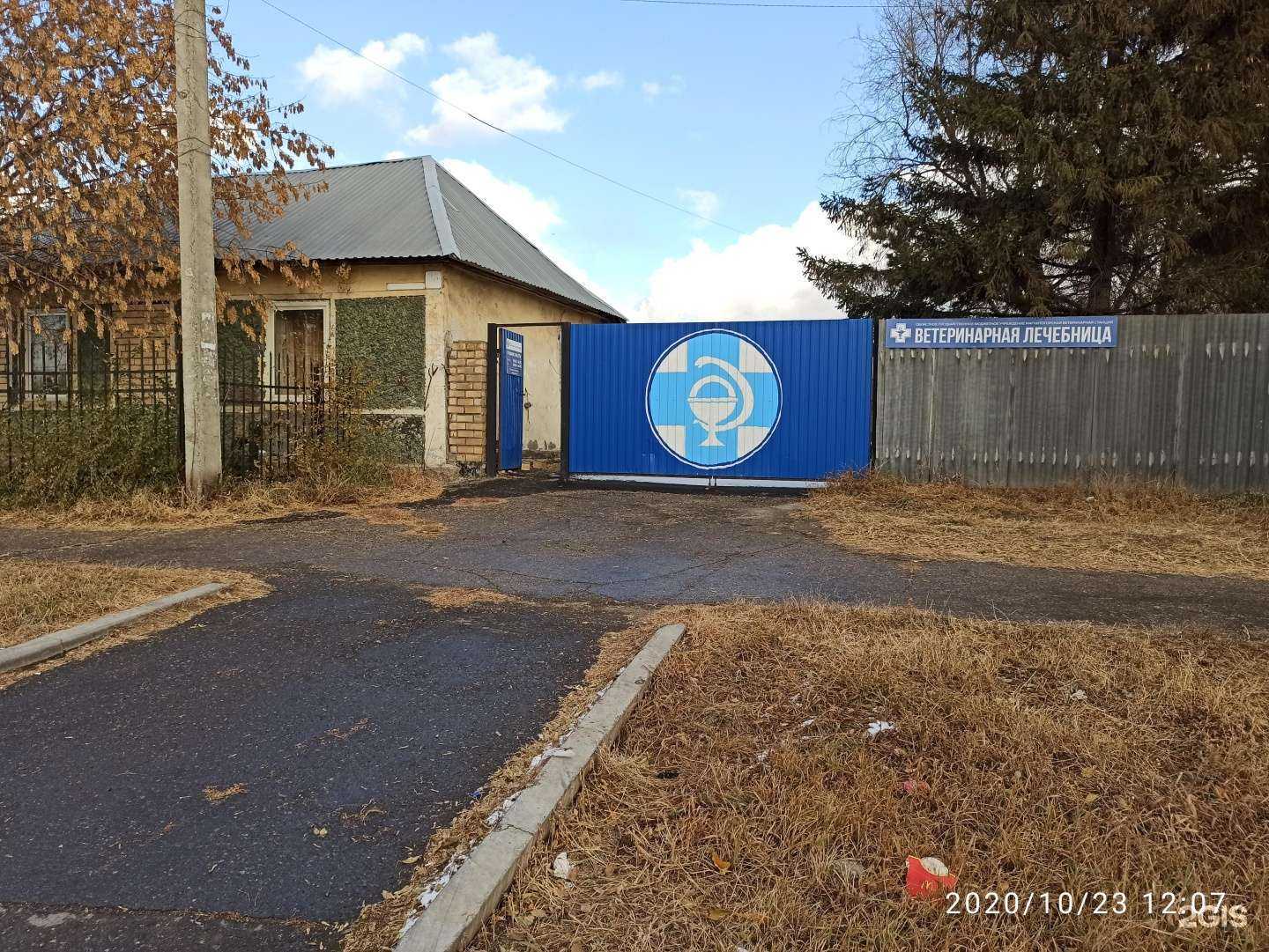 Отзывы на компанию Магнитогорская городская ветеринарная станция по борьбе с болезнями животных в Магнитогорске c фото