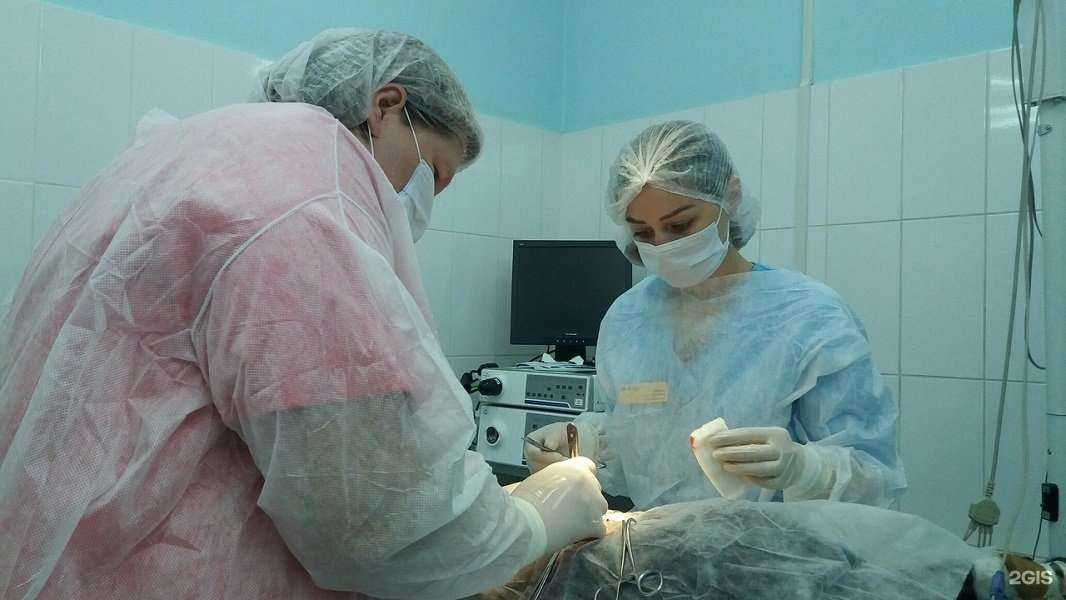 Отзывы на компанию Академ-сервис в Казани c фото