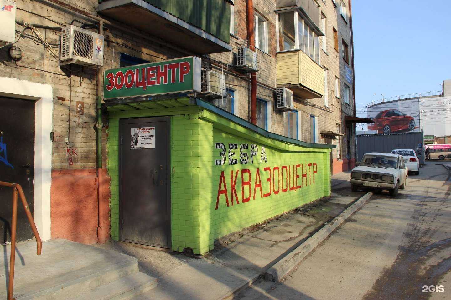 Отзывы на компанию Зебра в г. Новосибирск c фото