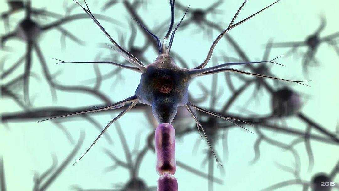 Отзывы на компанию Vivaton в г. Владивосток c фото