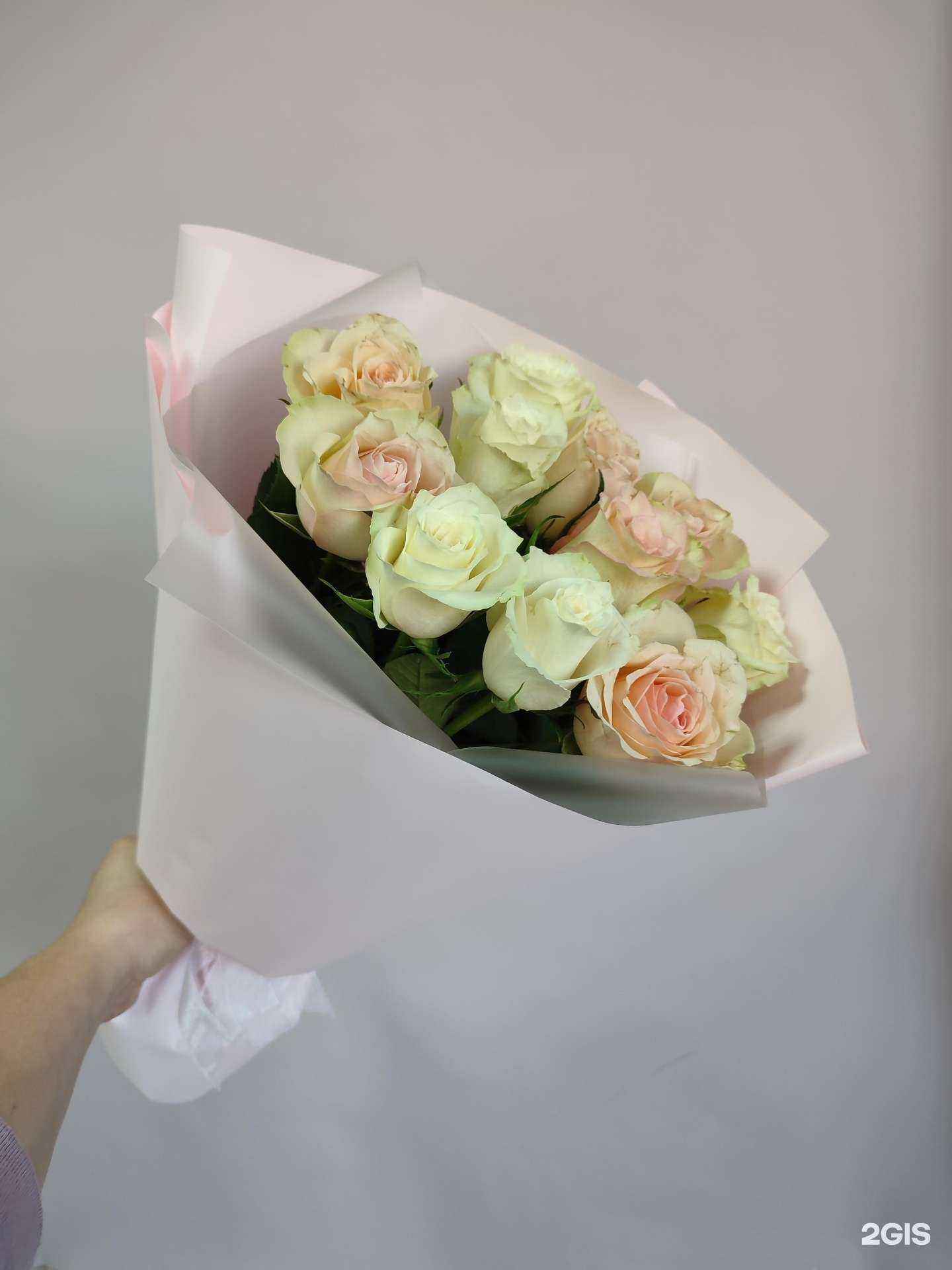 Отзывы на компанию Павлин в Саранске c фото