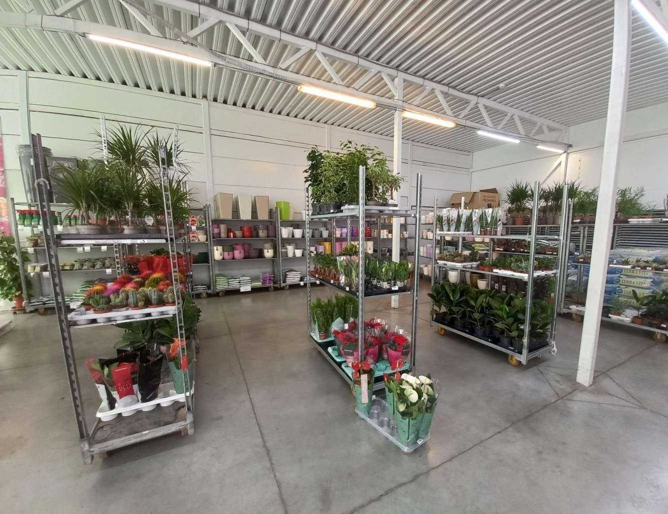 Отзывы на компанию Акация в Краснодаре c фото