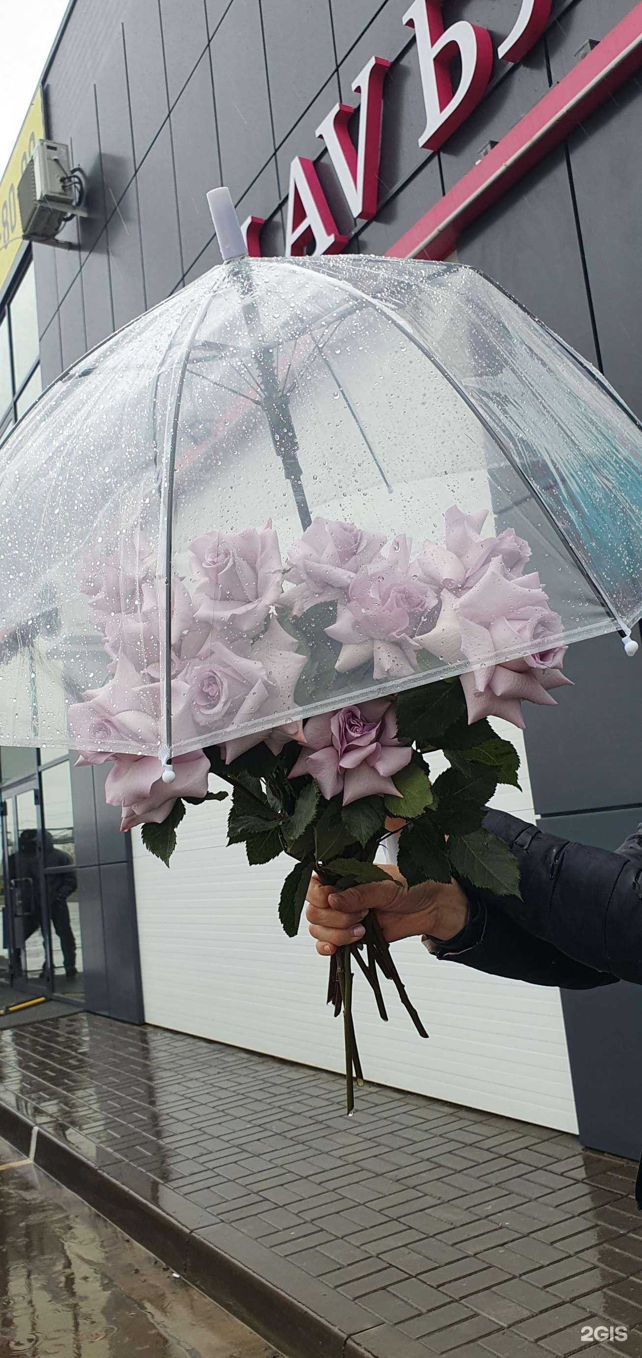 Отзывы на компанию Lav букет в г. Набережные Челны c фото