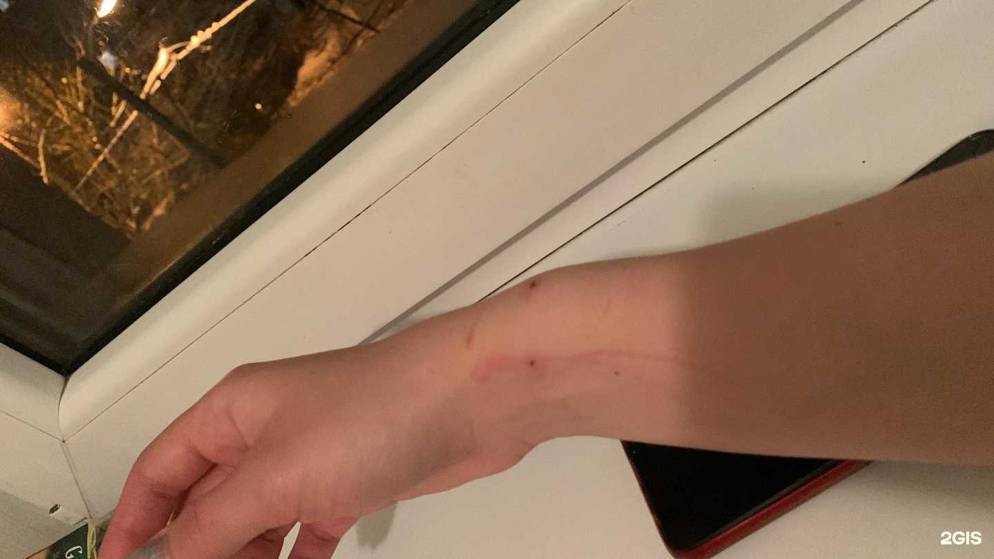 Отзывы на компанию Областная станция по борьбе с болезнями животных Калининградской области в Калининграде c фото