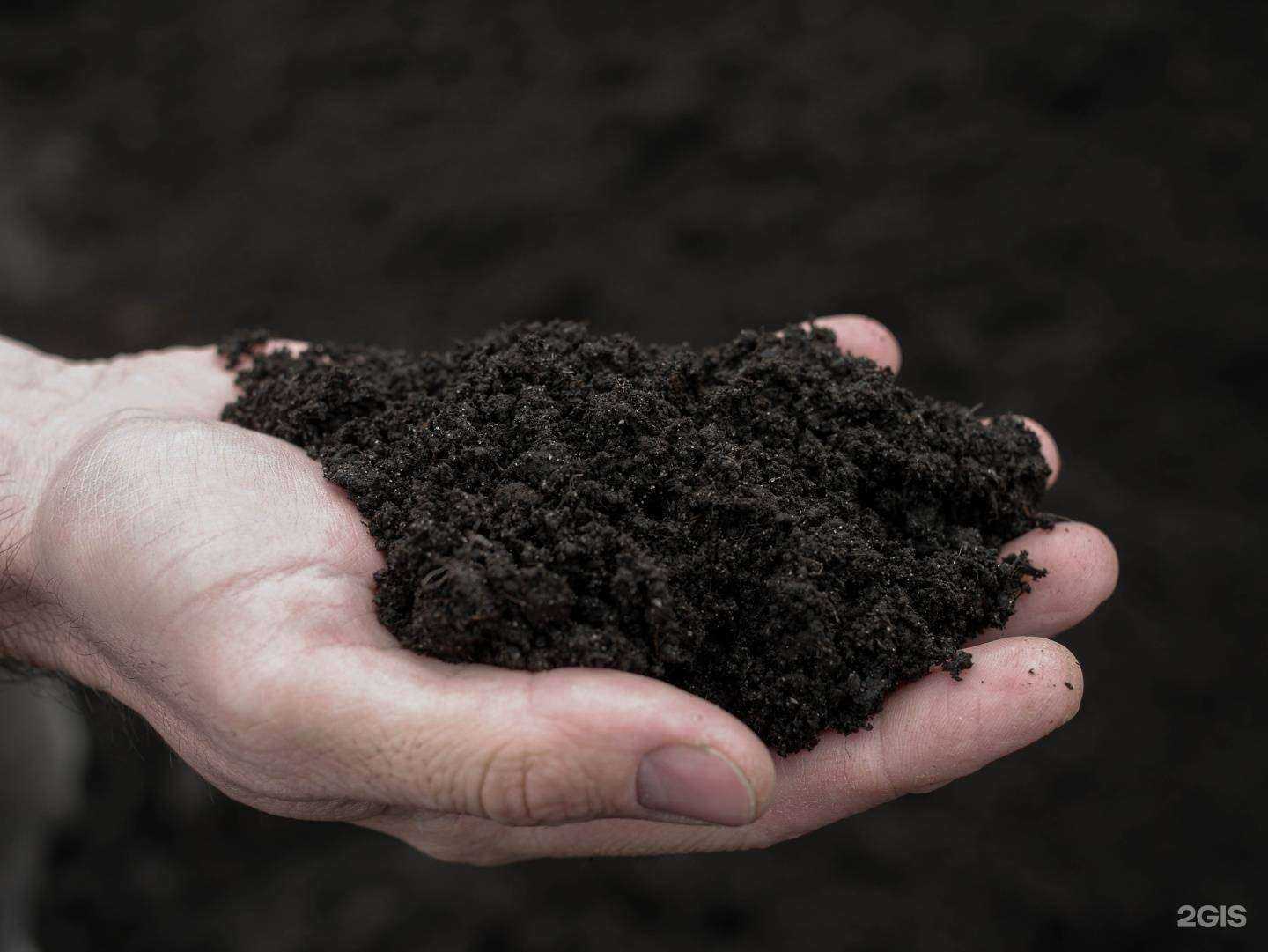 Отзывы на компанию Сенд Трейд в Иркутске c фото