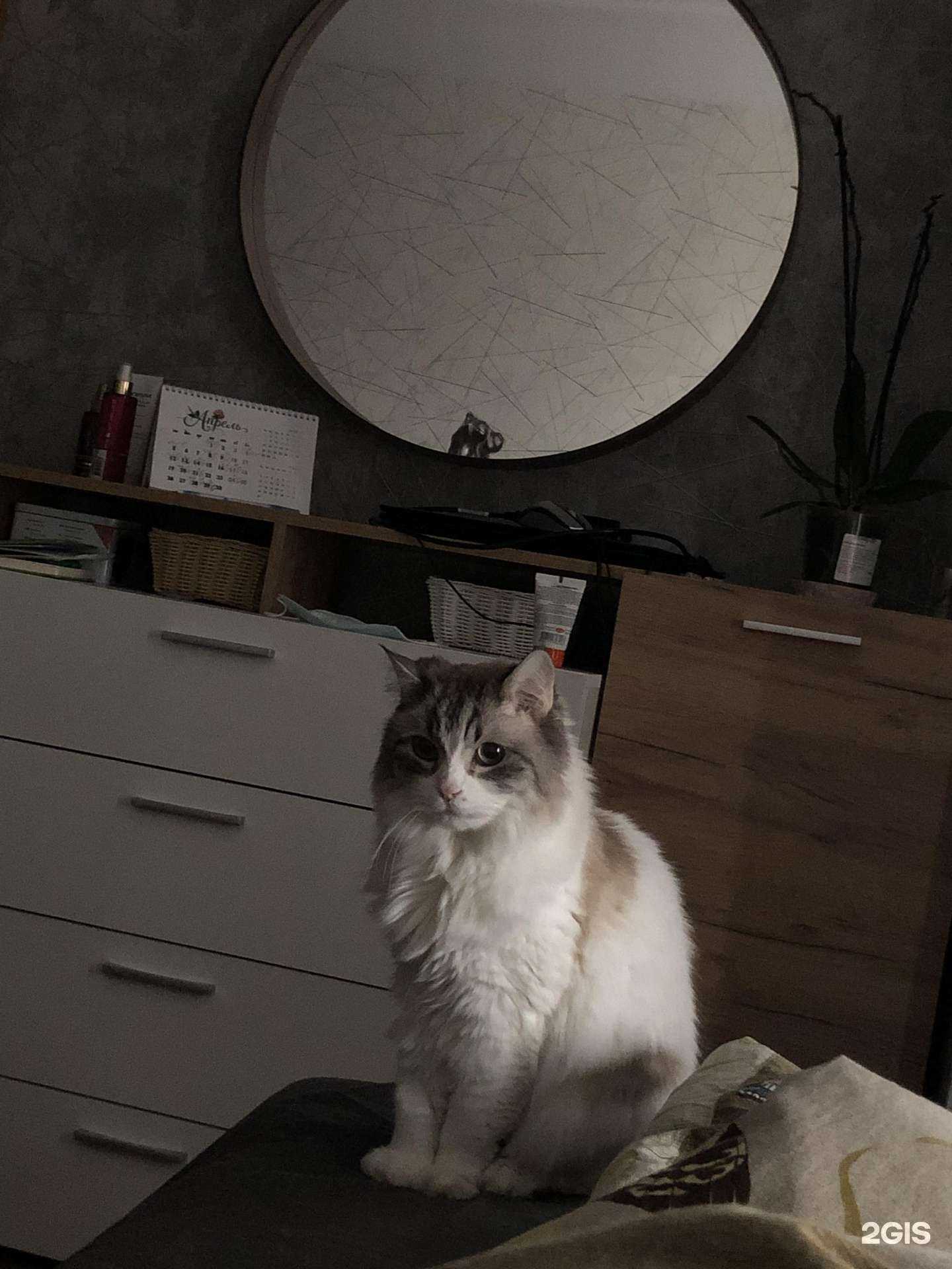 Отзывы на компанию Эфа в г. Екатеринбург c фото