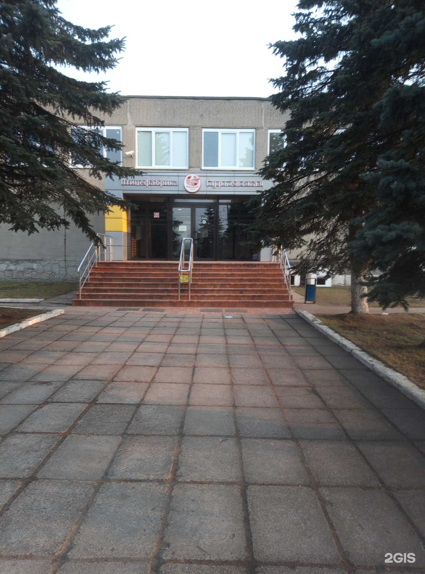 Отзывы на компанию Гурьевская птицефабрика в Гурьевске c фото - фотография 2 из 2