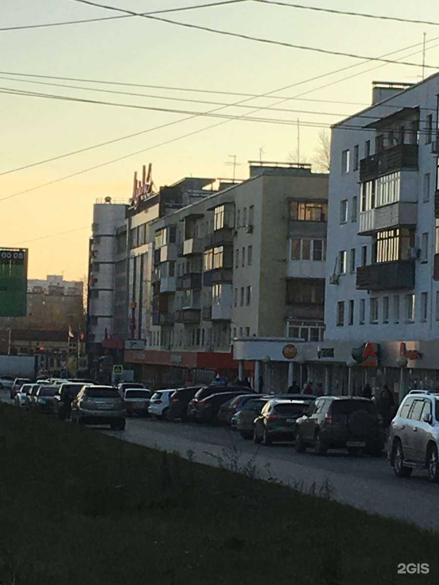 Отзывы на компанию База Цветов 24 в Нижнем Новгороде c фото - фотография 2 из 2