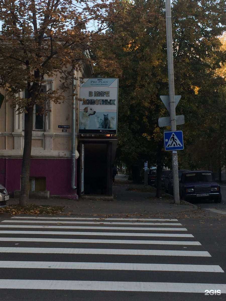 Отзывы на компанию В мире животных в г. Ростов-на-Дону c фото