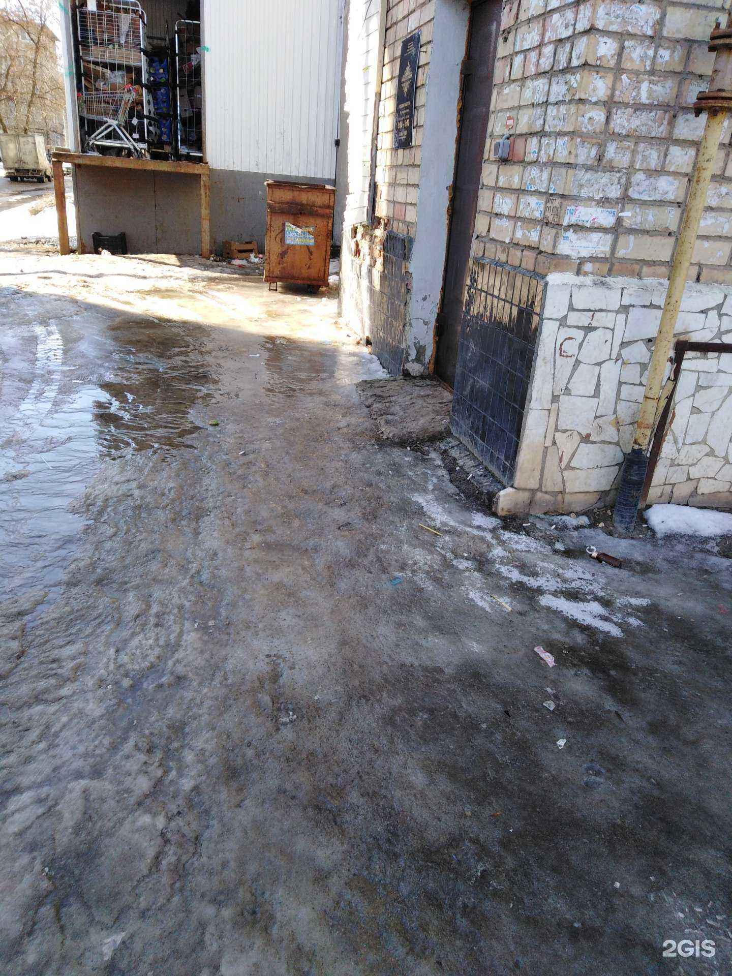 Отзывы на компанию Paradise garden в Тамбове c фото