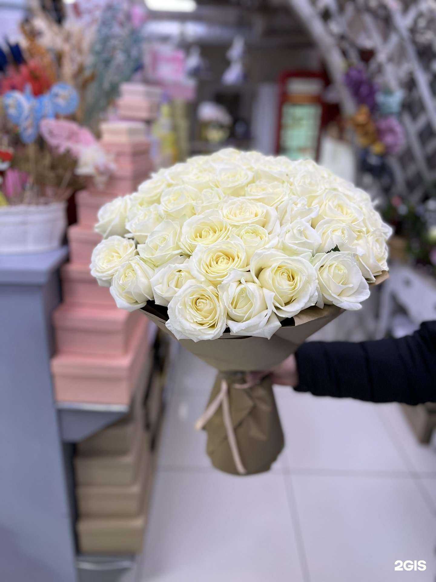 Отзывы на компанию Кактус в г. Сургут c фото