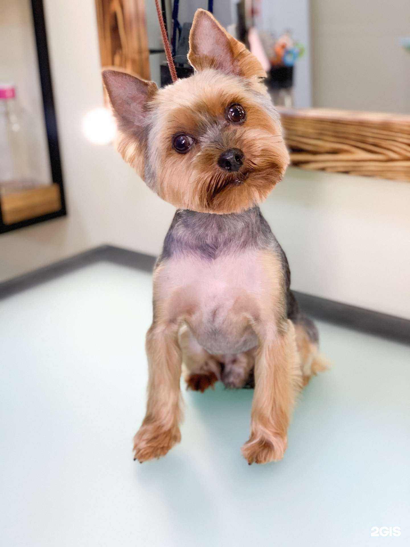 Отзывы на компанию Rich в г. Белгород c фото