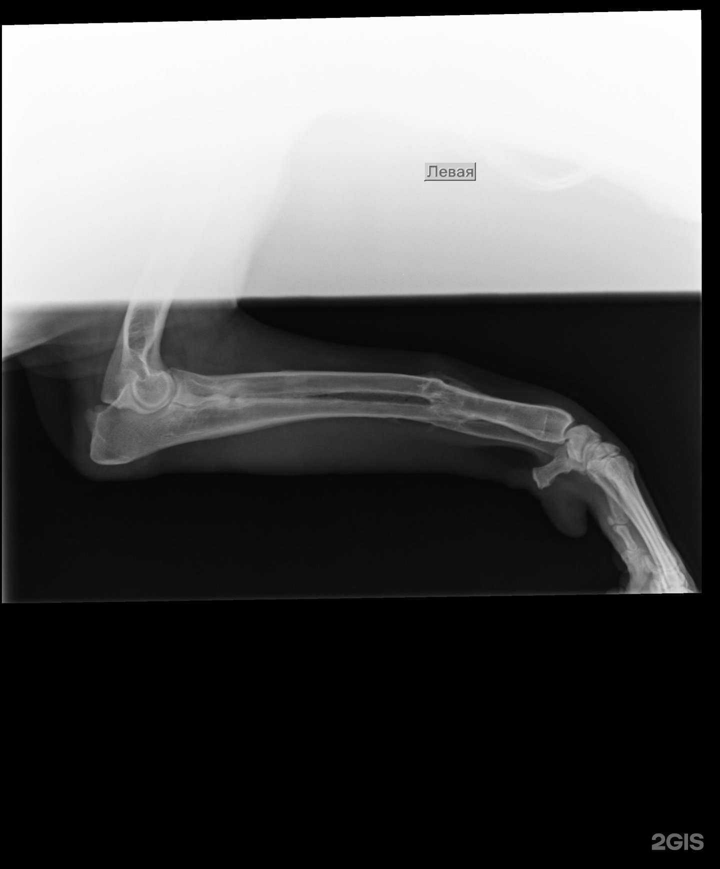 Отзывы на компанию Крылья, лапы и хвост в г. Краснодар c фото