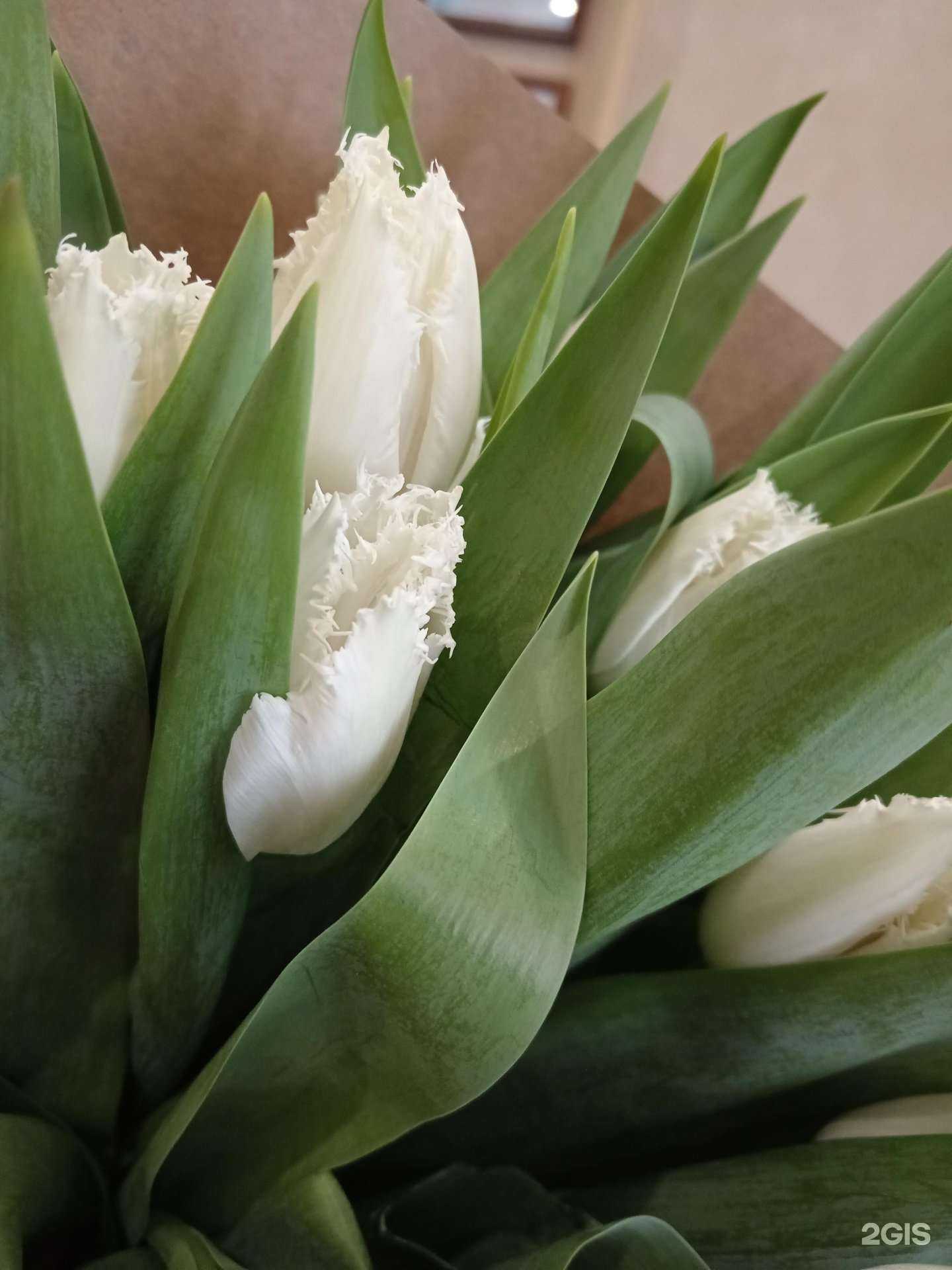 Отзывы на компанию Цветы Рядом в Перми c фото - фотография 2 из 2