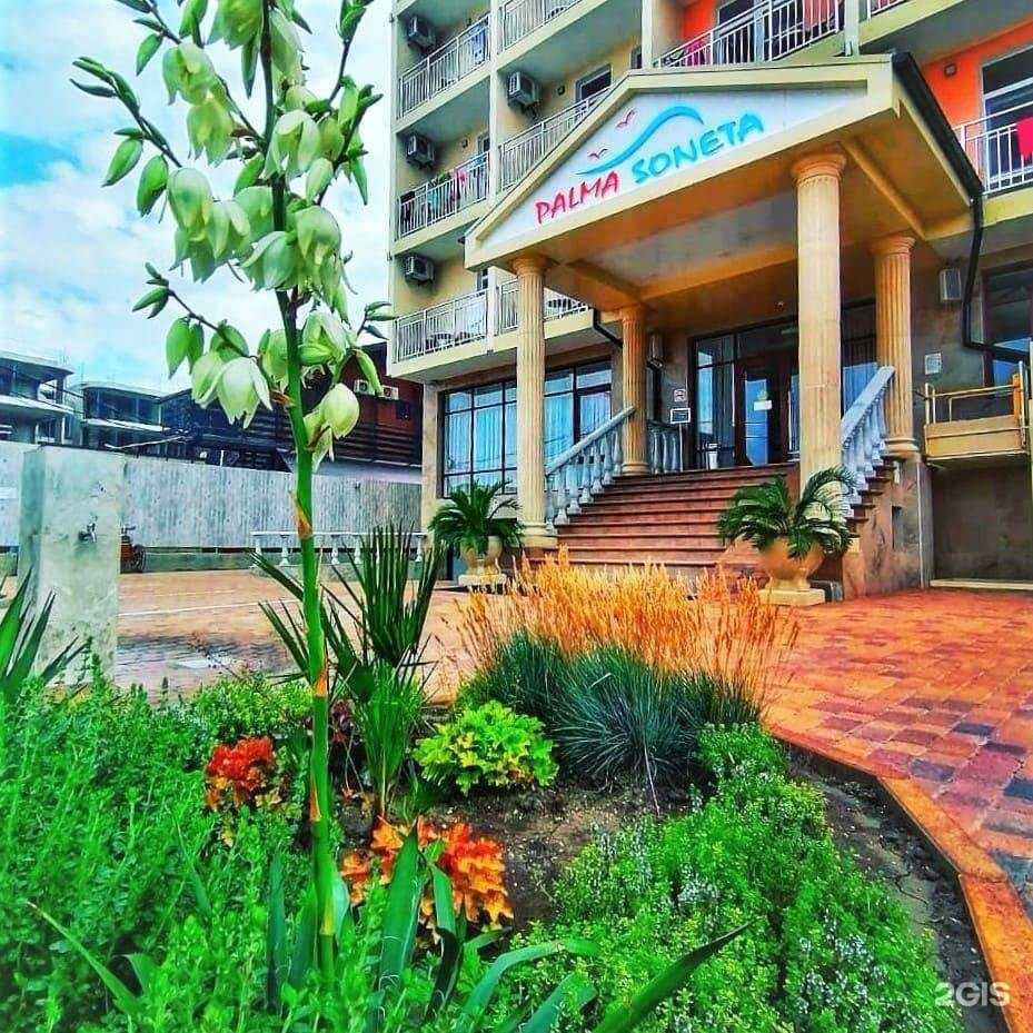 Отзывы на компанию Пальма Сонета в Анапе c фото