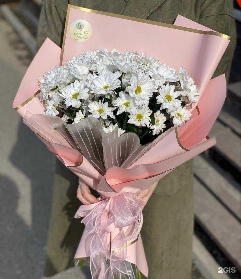 Отзывы на компанию Kinder Dv в г. Лесозаводск c фото