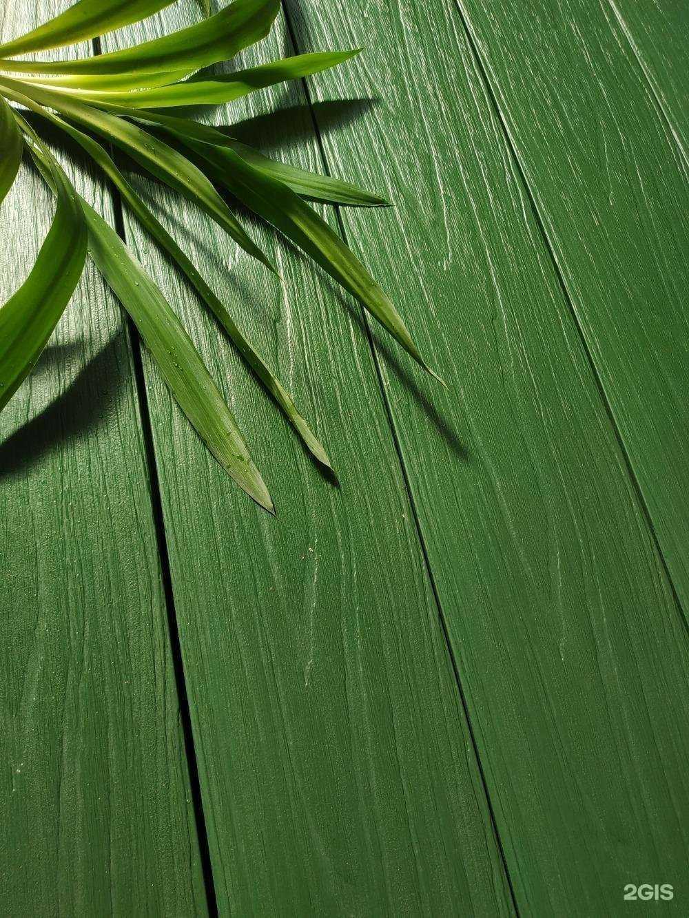 Отзывы на компанию Курсор в Смоленске c фото